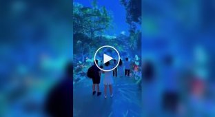 Another dimension: Space and Time Cube digital art center filmed on video & Time Cube, Video, People, Malaysia, in the world, cool, digital art center