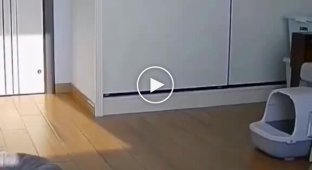 Ходімо, лежаночка, настав час приймати сонячні ванни