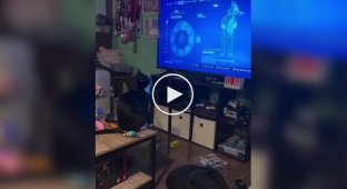 A cat is mastering new movements