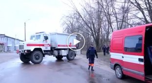 Спасатели показали как пес Патрон помогает в разминировании освобожденных территорий Черниговской области