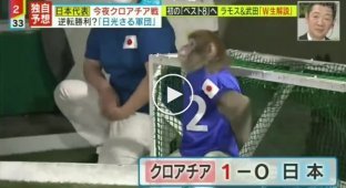 This is the kind of football we need - how real monkeys play