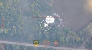 Ukrainian artillery destroys a Russian self-propelled mortar 2S4 "Tulpan" in the Eastern direction