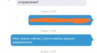Универсальный ответ «Почты России» (3 фото)