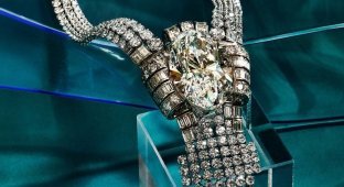 Tiffany & Co. показал самое дорогое колье в своей истории: в чем его особенность (3 фото)
