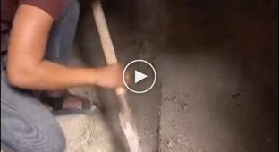 Когда надоело жить с родителями и решил начать все делать самостоятельно