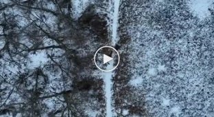 Видео работы операторов дронов на передовой. Часть 3