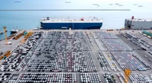 Giant ships or how cars are transported by sea (3 photos + 1 video)