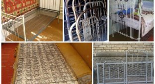 Why you shouldn't throw away your old bed. Interesting ideas on what to do with an old bed (33 photos)