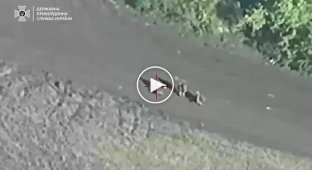 Our soldiers destroyed 7 trucks, a loaf of bread, 3 communication antennas and eliminated about 10 Russians in the Kharkiv region