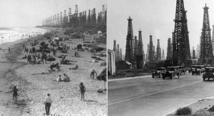16 фото солнечной Калифорнии, пляжи которой когда-то украшали нефтяные вышки (17 фото)