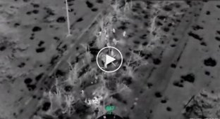 Ukrainian fighters with one drone knocked out the invaders from their occupied position in the Berdyansk direction