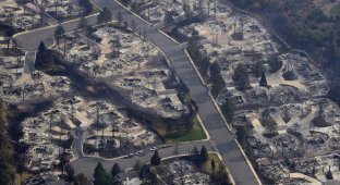 Охваченный пожарами Колорадо объявили зоной стихийного бедствия (21 фото)