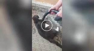 Хозяин пылесосит своего кота