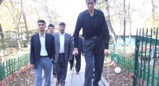 Самый высокий человек в мире (55 фото)