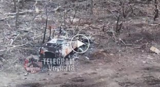 Украинские дроны-камикадзе атакуют российскую пехоту в Запорожской области