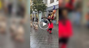 A goose parade was held in the Netherlands
