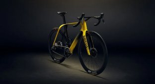 Lotus released a bicycle for the price of a car (7 photos)
