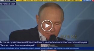 Путин заявил, что «добровольцы ОРДЛО» воюют лучше, чем профессионально подготовленные российские военные