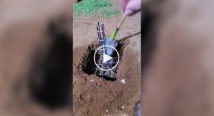 Miniature construction with your own hands