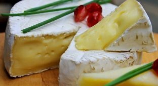 Черви, плесень, запах: 5 самых гадких и дорогих сыров в мире (6 фото)