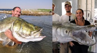 Do you sell fish? What are the largest ichthyanders live in freshwater reservoirs (11 photos)