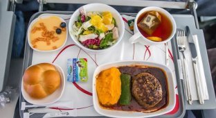Что происходит с самолетной едой, которую не съели? (6 фото)