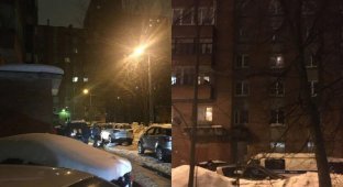 В Петербурге двое подростков упали с девятиэтажки и разбились насмерть (2 фото)