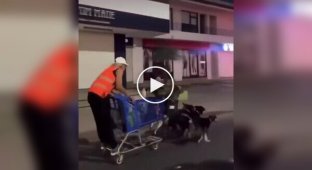 A man rode a cart from a supermarket