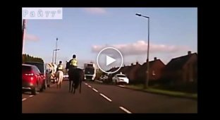 A young rider miraculously did not fall under a truck with a horse