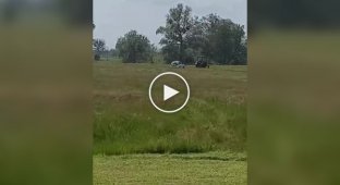 Chasing a tractor in a field
