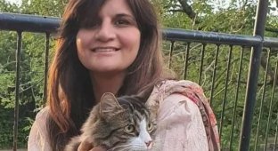 A smart cat saved a woman's life (3 photos)