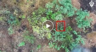 Росіяни відправляють в атаки на Покровськ жінок-штурмовиків