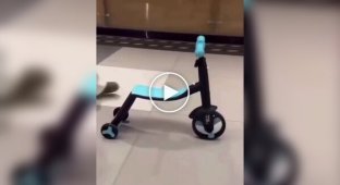 A three-wheeled transformable scooter