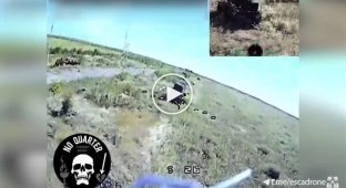 A Kamikaze Drone Attacks an Occupier While He Sleeps