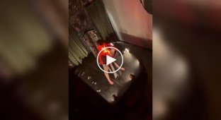 Девушка познала всю мощь темной стороны Силы