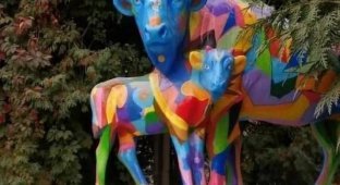 Беда в Калуге: ЛГБТ-коровы с "человеческими" лицами (3 фото)