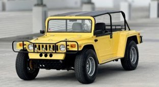 Compact Hummer H1 based on the Beetle put up for sale (17 photos)
