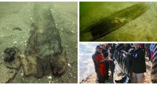 Prehistoric canoes found at the bottom of a lake in Wisconsin (10 photos)