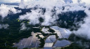 Солнечные электростанции в Японии с высоты птичьего полета (14 фото)