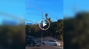 A one-year-old baby fell out of a moving car in the US and miraculously survived