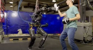 Impressive: the robot Nadya was taught to box (4 photos + 1 video)