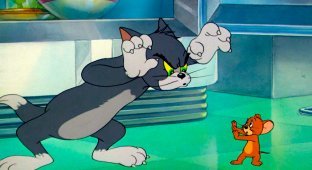 16 interesting facts about the animated series “Tom and Jerry” (24 photos)