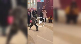 Первый случай нападения робота на ребенка попал на видео в Китае