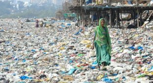 How plastic is sorted in Indian slums (13 photos)