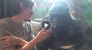 The guy showed the gorilla photographs of his brothers