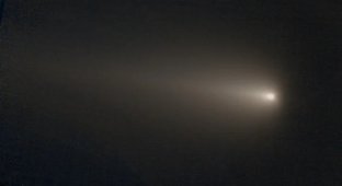 Комета, которой осталось меньше месяца: 4 апреля C/2026 A1 будет уничтожена Солнцем (3 фото)