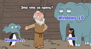 Windows 11: реакция соцсетей на новую операционку (18 фото)