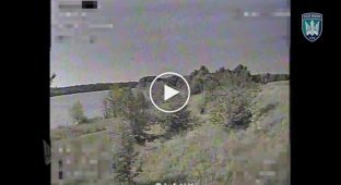 Birds of Madyar tracked down an occupier, who was lying on the ground among the trees, and eliminated him with a kamikaze drone strike