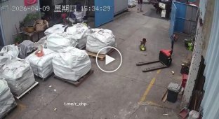 When Dad Takes You to Work