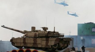 Военное шоу в Абу-Даби (10 фото)